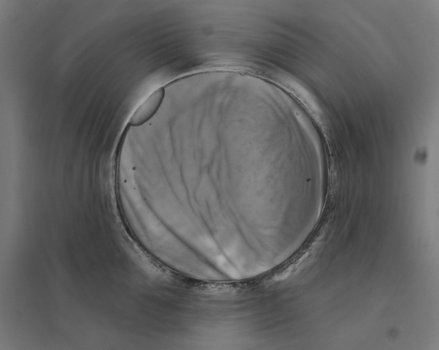 X0000094420907200712061048