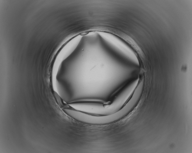 X0000094420908200712061048