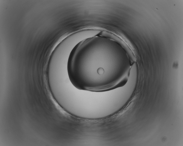 X0000094420909200712061048