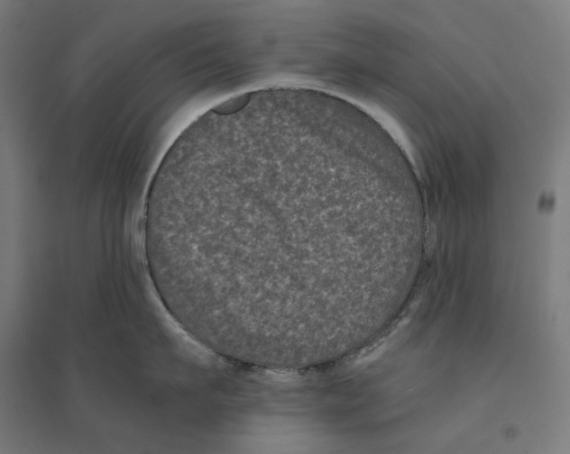 X0000094420911200712061048