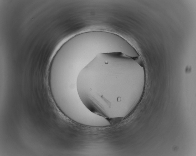 X0000094420912200712061048