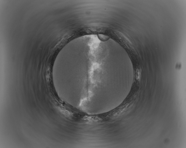 X0000094420915200712061047