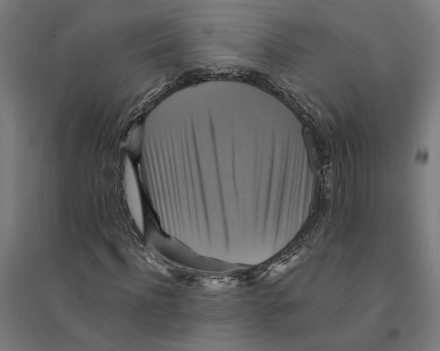 X0000094420916200712061047