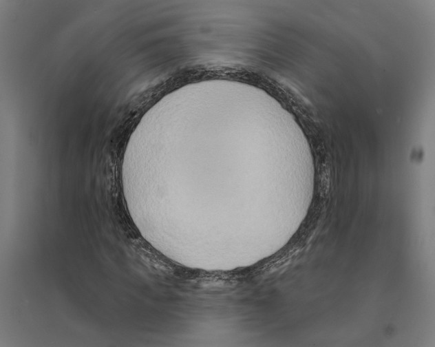 X0000094420917200712061047