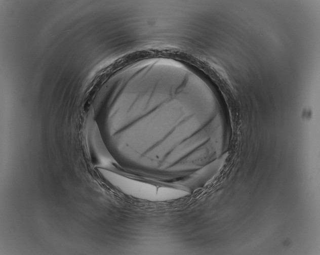 X0000094420920200712061048