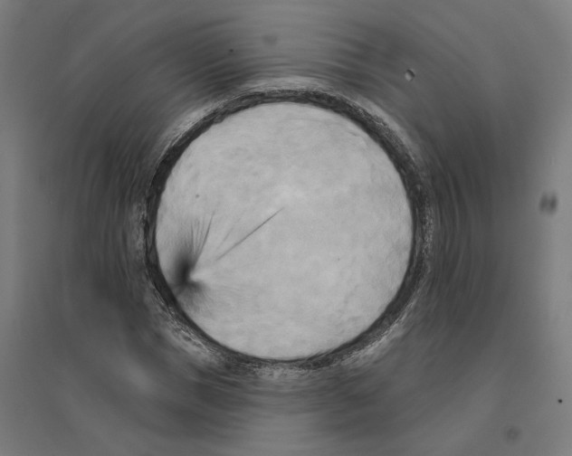 X0000094420921200712061048