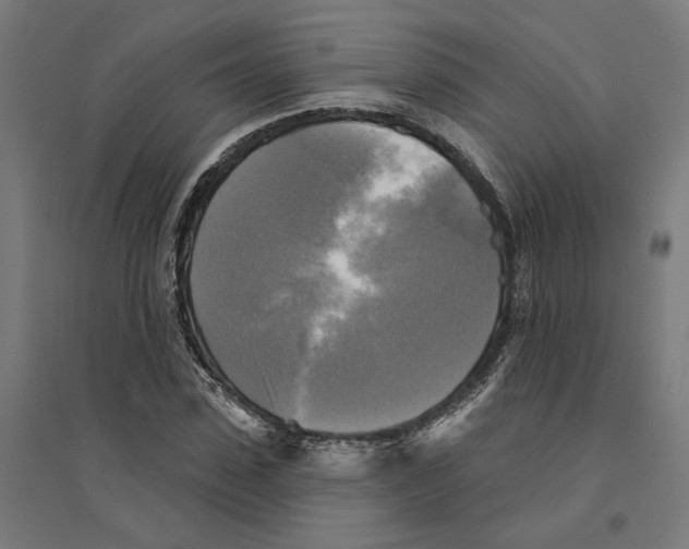 X0000094420923200712061048