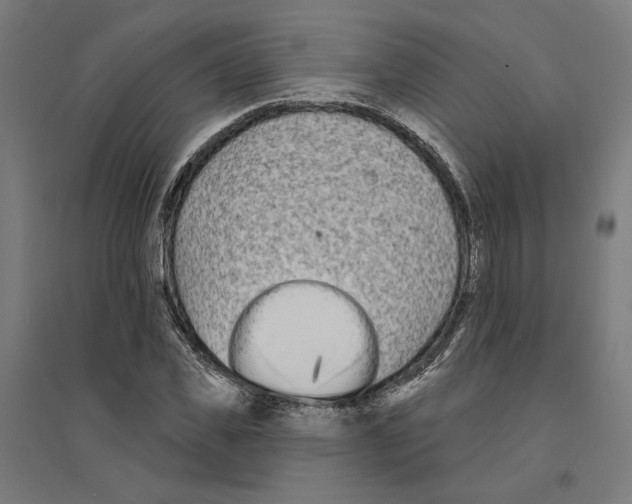 X0000094420925200712061048