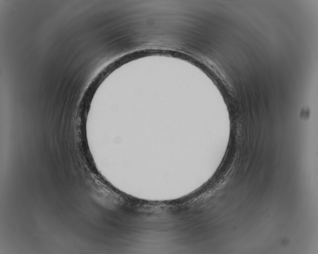 X0000094420926200712061048