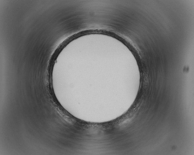 X0000094420927200712061048