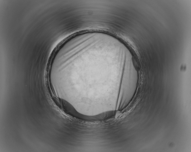 X0000094420928200712061048