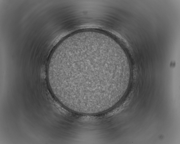 X0000094420929200712061048