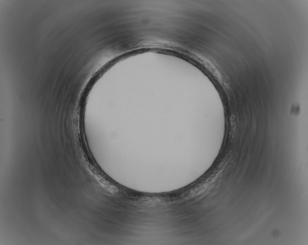 X0000094420931200712061048