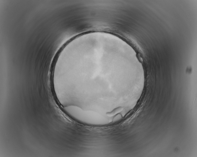 X0000094420932200712061048