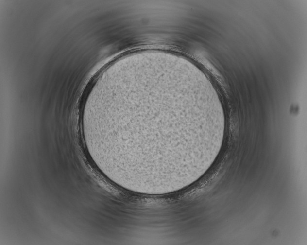 X0000094420933200712061048