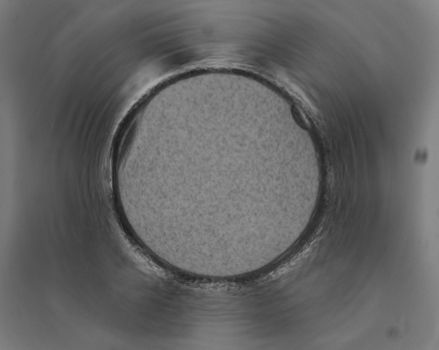 X0000094420934200712061048