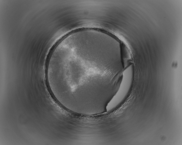 X0000094420935200712061048