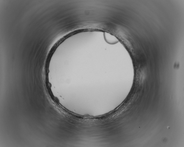 X0000094420936200712061048