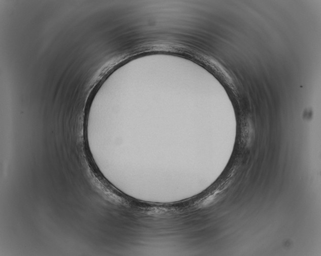 X0000094420938200712061048