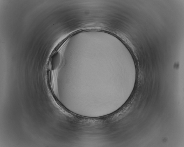 X0000094420941200712061048