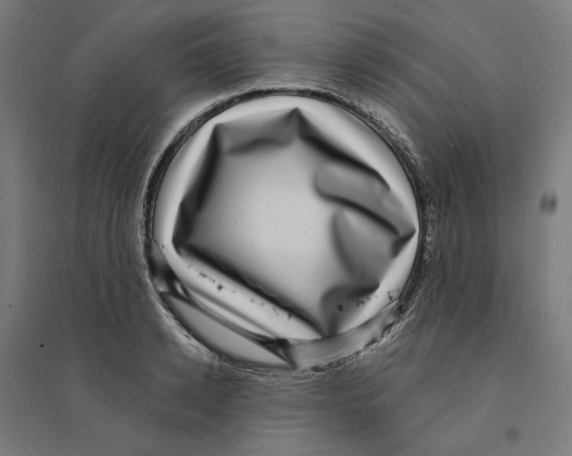 X0000094420942200712061048