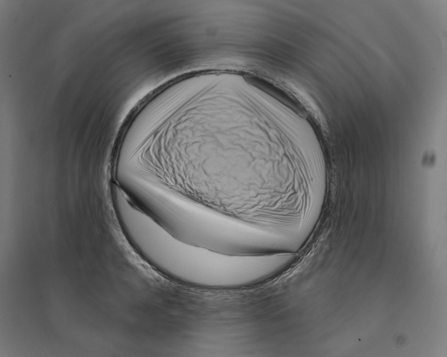 X0000094420944200712061048