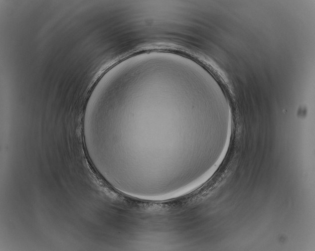 X0000094420945200712061048