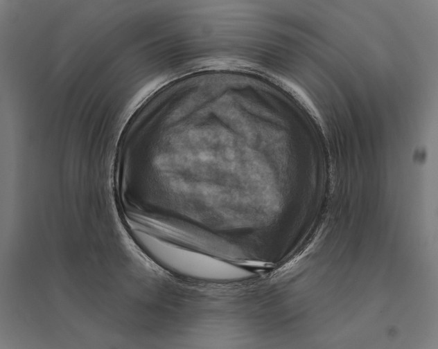 X0000094420946200712061048