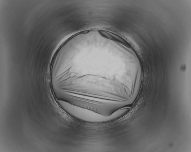 X0000094420948200712061048