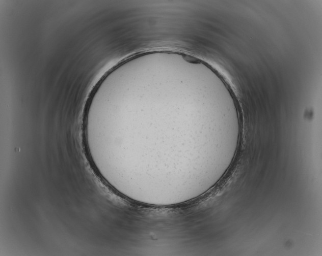 X0000094420949200712061048