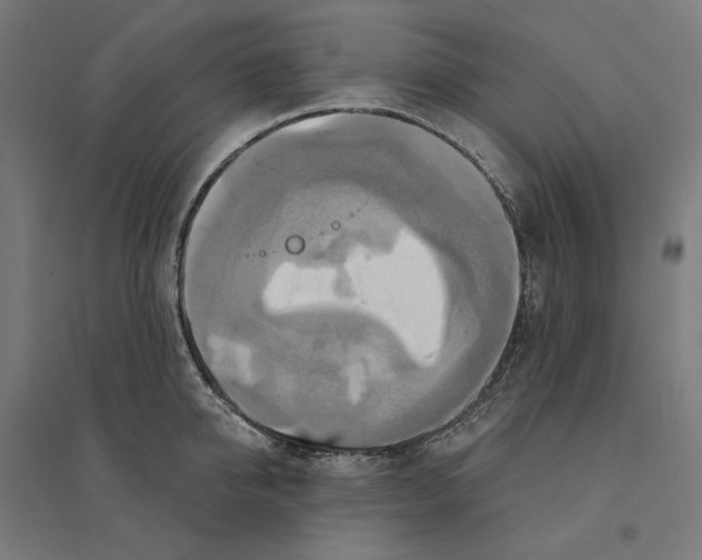 X0000094420950200712061048