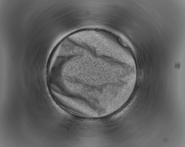 X0000094420951200712061048