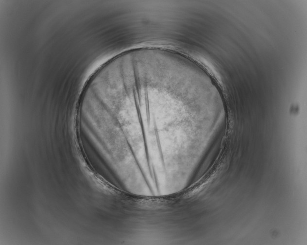 X0000094420952200712061048