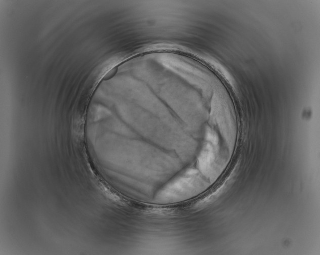 X0000094420953200712061048