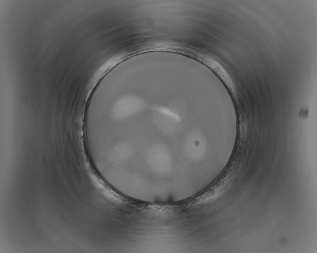 X0000094420954200712061048