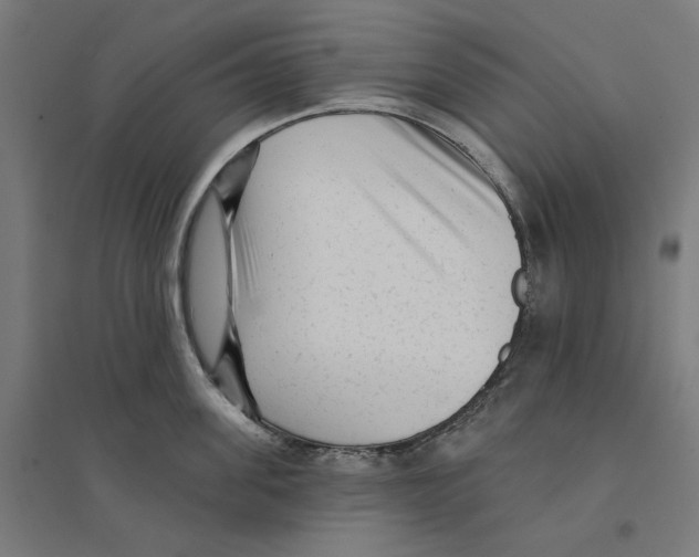 X0000094420955200712061048