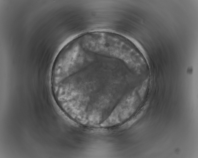 X0000094420957200712061048