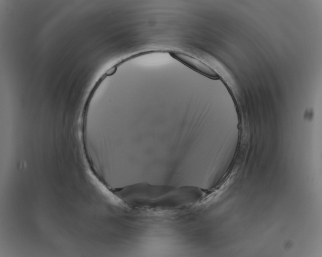 X0000094420958200712061048