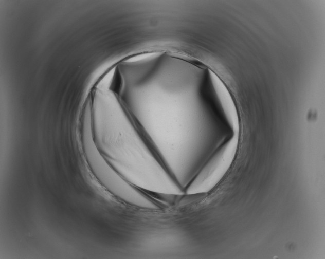 X0000094420960200712061048