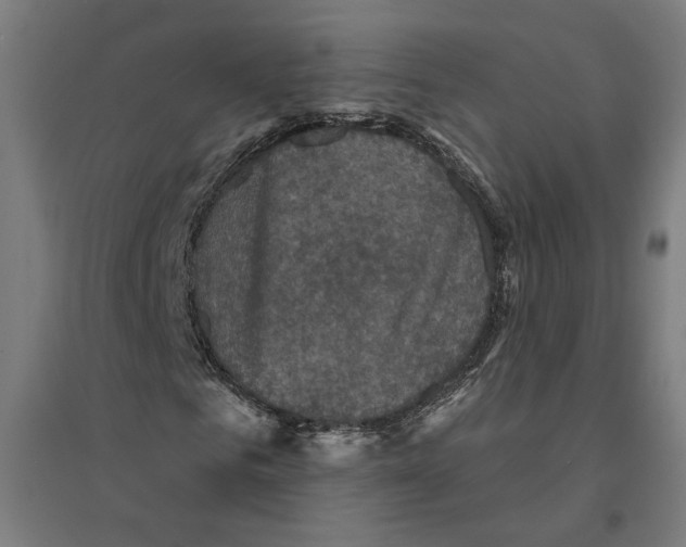 X0000094420961200712061047