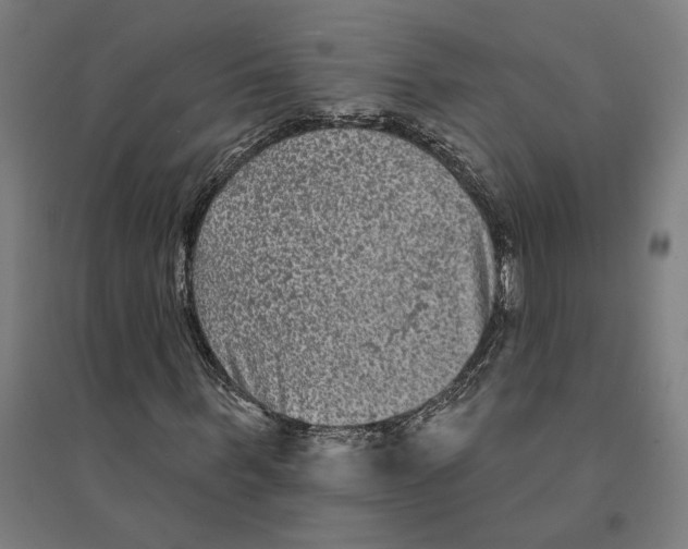 X0000094420963200712061047