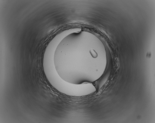 X0000094420965200712061047