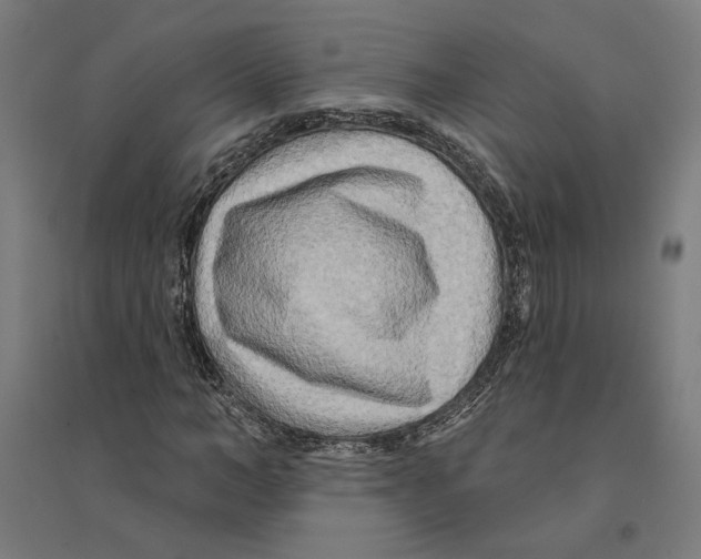 X0000094420966200712061047