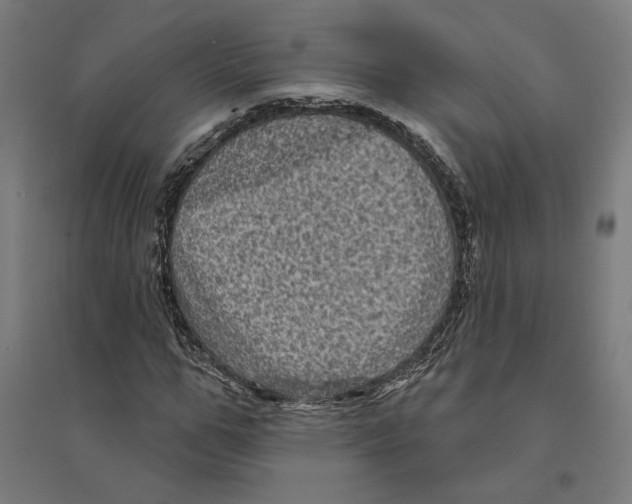 X0000094420967200712061047