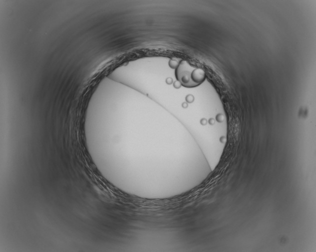 X0000094420968200712061047