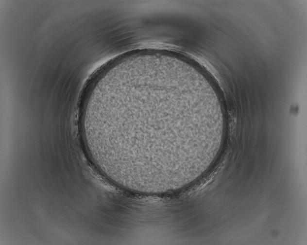 X0000094420971200712061047