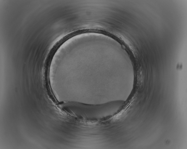 X0000094420975200712061047