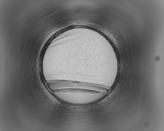 X0000094420976200712061047