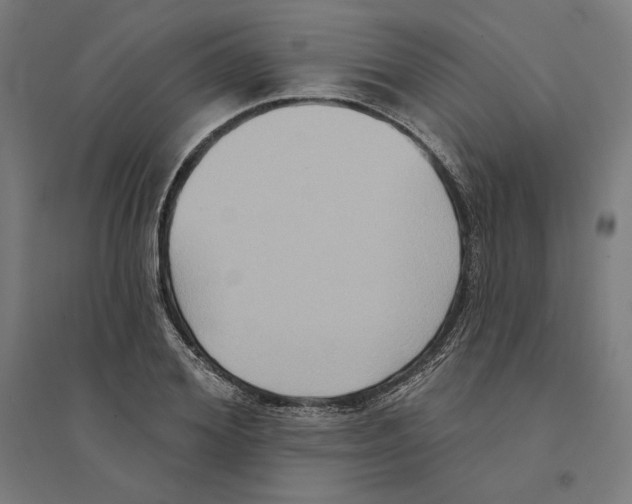 X0000094420980200712061047