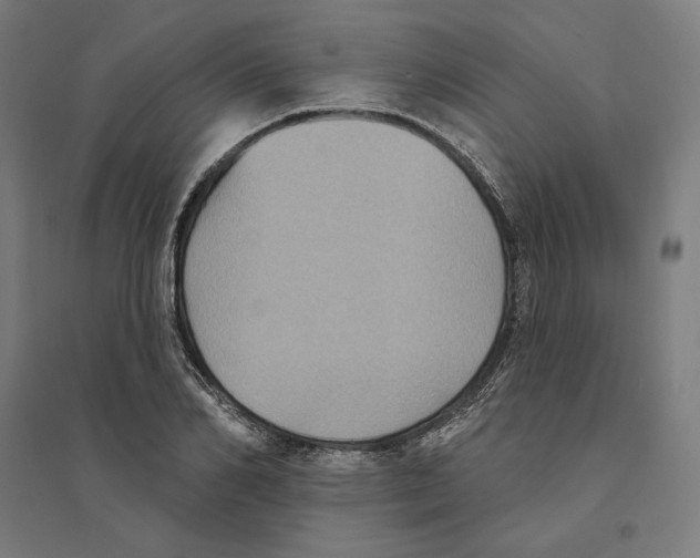 X0000094420982200712061047